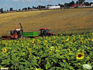 Pol-Mot 9014H + Przyczepa UNIA & Agrostroj Prostejow