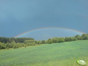 Pola i tęcza