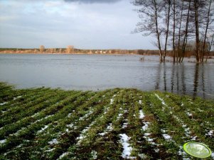 Pola i Wisła