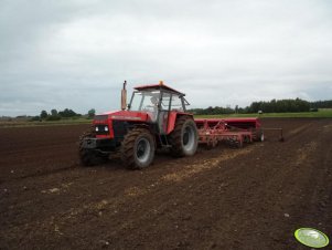 Polski koń pociągowy ;]