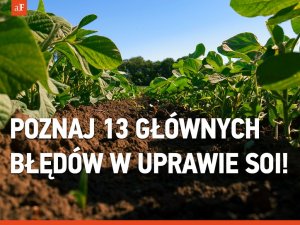 Poznaj 13 najczęściej popełnianych błędów w uprawie soi!