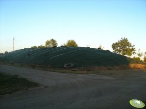 Pryzma z 25ha kukurydzy