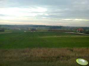 Przenica Ozon 200kg/ha