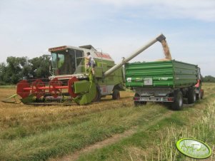 Przyczepa Fliegl + Claas Dominator 98S