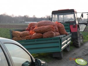 Przyczepa + Zetor 5320 