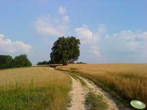 Pstrągowa 2010