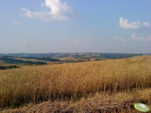 Pstrągowskie Górki