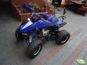 Quad Bashan 125