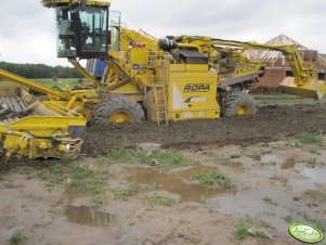 Ropa Euro Maus 4 