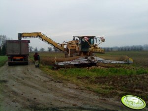 Ropa Euro Maus