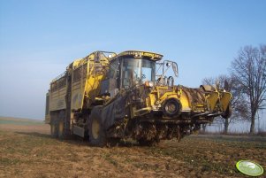 Ropa euro Tiger V8-3