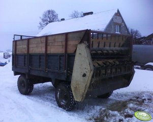 Rozrzutnik z Czarnej Białostockiej