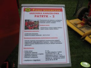 sadzrka karuzelowa opis