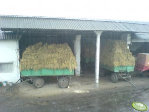 Siano zebrane w ostatniej chwili