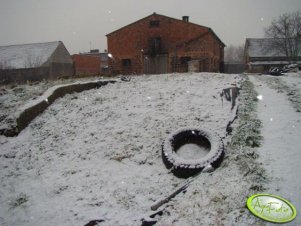 Silos na kukurydzę pełen