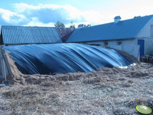 Silos z kukurydzą