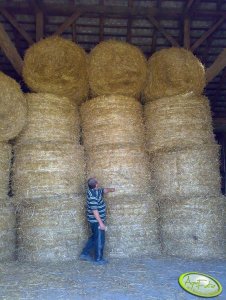 Słoma w stodole