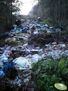 Śmieci w lesie 
