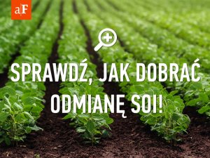 soja agrofakt2