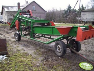 sortownik do ziemniaków