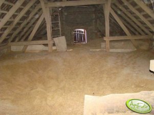 Spichlerz nad chlewnią