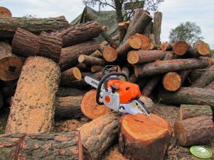 Stihl MS 441  