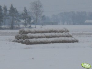 Stóg słomy