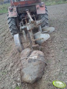 T-25 + Unia Grudziądz + kamień 