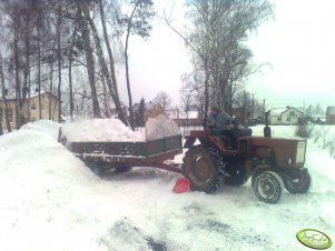 T-25