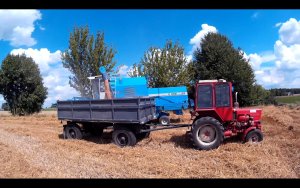 T25 &  d46  & Bizon rekord Z058