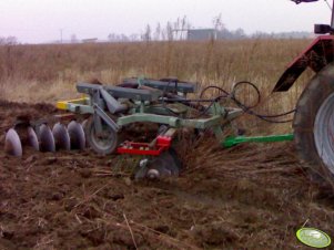 Talerzówka Uni Grudziądz