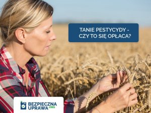 Tanie pestycydy - czy to na pewno się opłaca?