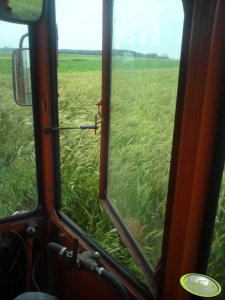 Uchylana szyba w T25