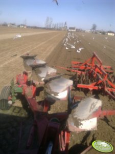 Unia Ibis 120 + Partner