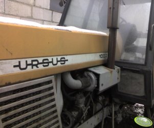 Ursus 1002