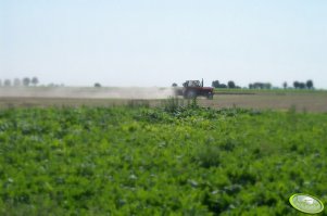 Ursus 1012 + Amazone