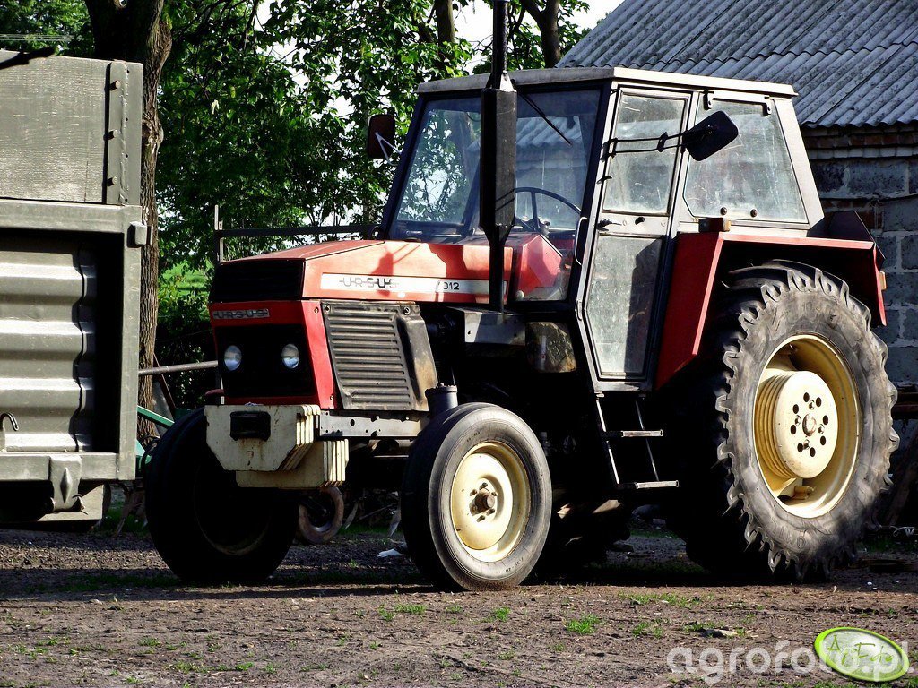 Foto Ciągnik Ursus 1012 Id:394870 - Galeria Rolnicza Agrofoto