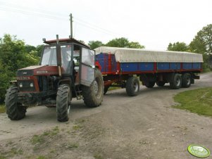 Ursus 1014 i Wackenhut