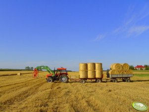 Ursus 1014 + przyczepy