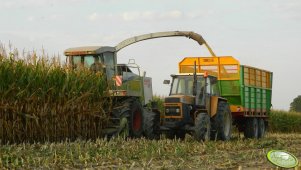 Ursus 1014 +T-088 + Claas Jaguar 840