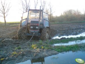 Ursus 1014 + Vaderstad