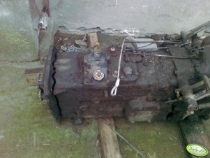Ursus 1014
