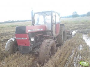 Ursus 1201