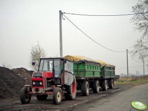 Ursus 1212