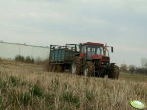 Ursus 1224 + Forschnit T-088