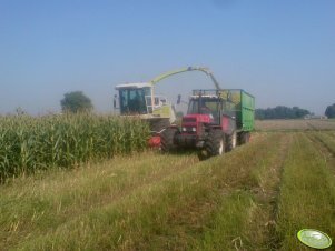 Ursus 1224 + Fortschritt T088 & Claas Jaguar 860