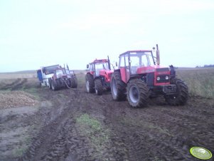 Ursus 1224 i 2  x 1614 vs Renoult 