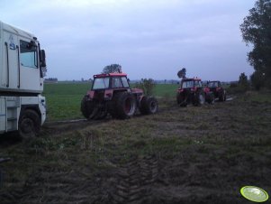 Ursus 1224 i 2  x 1614 vs Renoult 