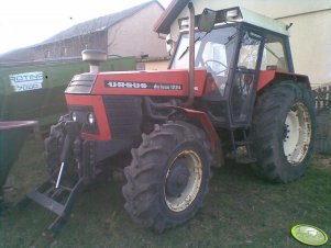 Ursus 1224