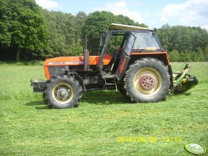 Ursus 1224